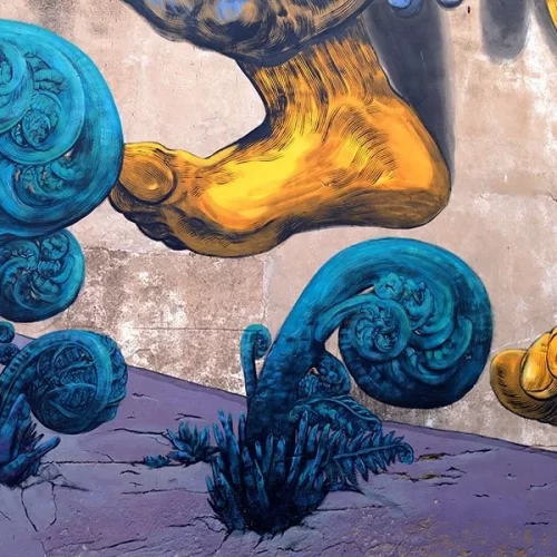 WOW  Women on Walls