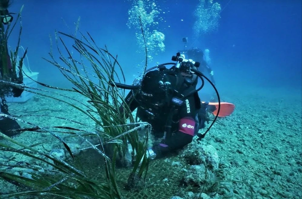 ISOLE TREMITI, 100MQ DI POSIDONIA OCEANICA ATTRAVERSO LA RETE DEL PROGETTO UNESCO SAVE THE WAVE
