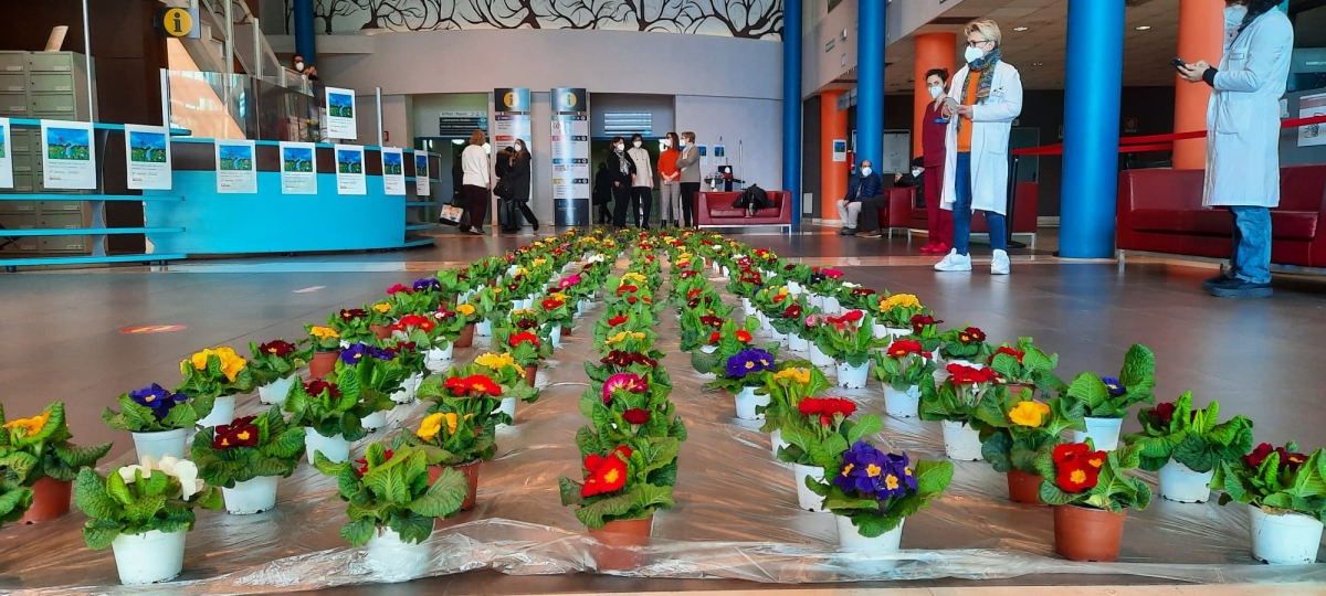 8 Marzo, fiori in ospedale, un sito di poesie da ascoltare per il personale sanitario e musica a beneficio delle pazienti oncologiche