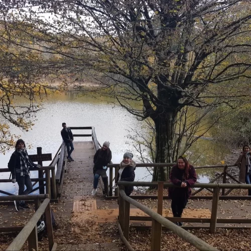 Gargano: Turisti estasiati dalla Foresta Umbra