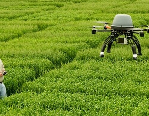 Agricoltura di precisione, 20 agronomi pugliesi diventano piloti di droni