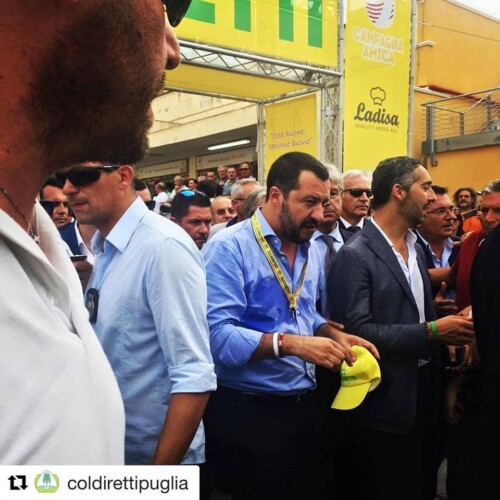 Agricoltura in Puglia, Coldiretti chiede aiuto a Salvini: ‘Boom di furti in Puglia, danni per 300 milioni di euro’
