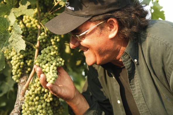 Al Bano Carrisi attacca Slow Food: ‘ Le critiche ledono la mia correttezza imprenditoriale’