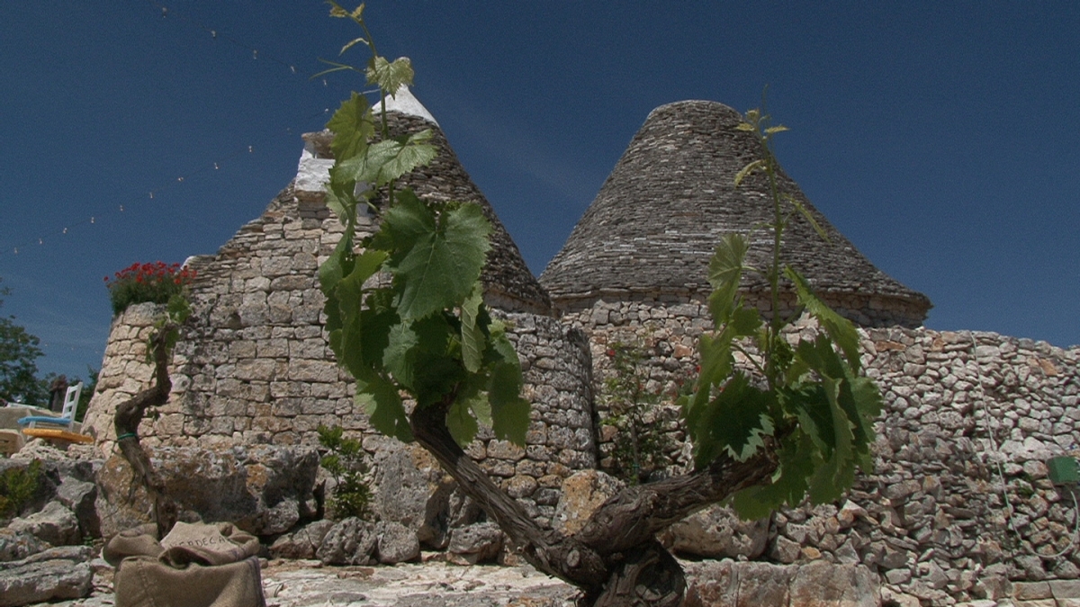 Al via ‘Cultivar 2015’, il festival che celebra i vitigni autoctoni di Puglia