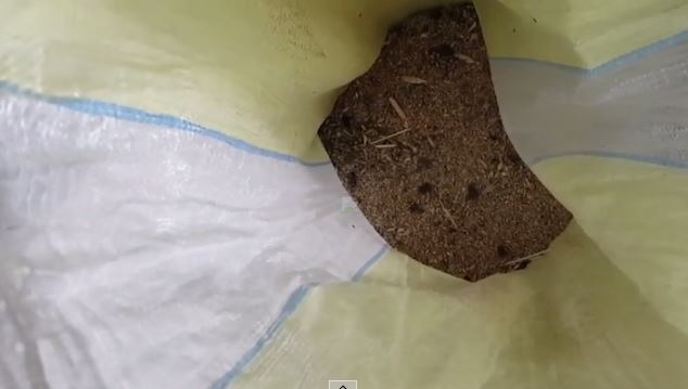 Altamura, chiuso mulino artigianale che produceva prodotti a ‘km 0’: era infestato dagli scarafaggi