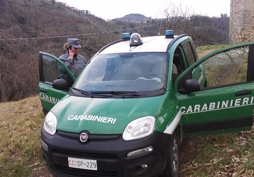 Altamura, lavori abusivi di dissodamento su un terreno agricolo: una denuncia