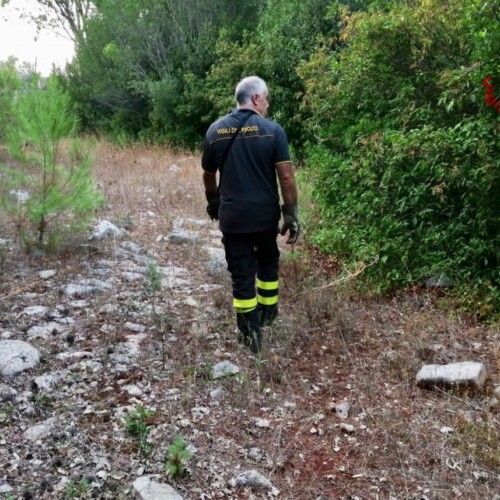 Anziano disperso nelle campagne di Ostuni, i vigili del fuoco lo salvano dopo cinque giorni di ricerche: sta bene