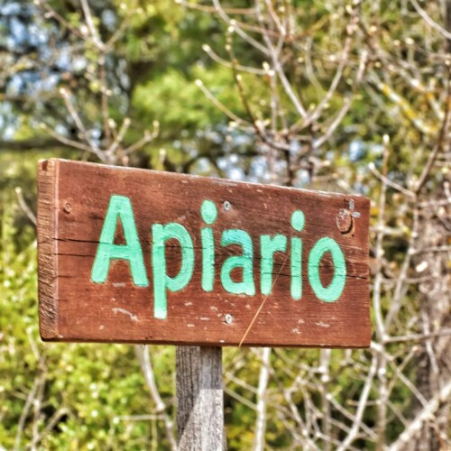 “Apiari aperti”