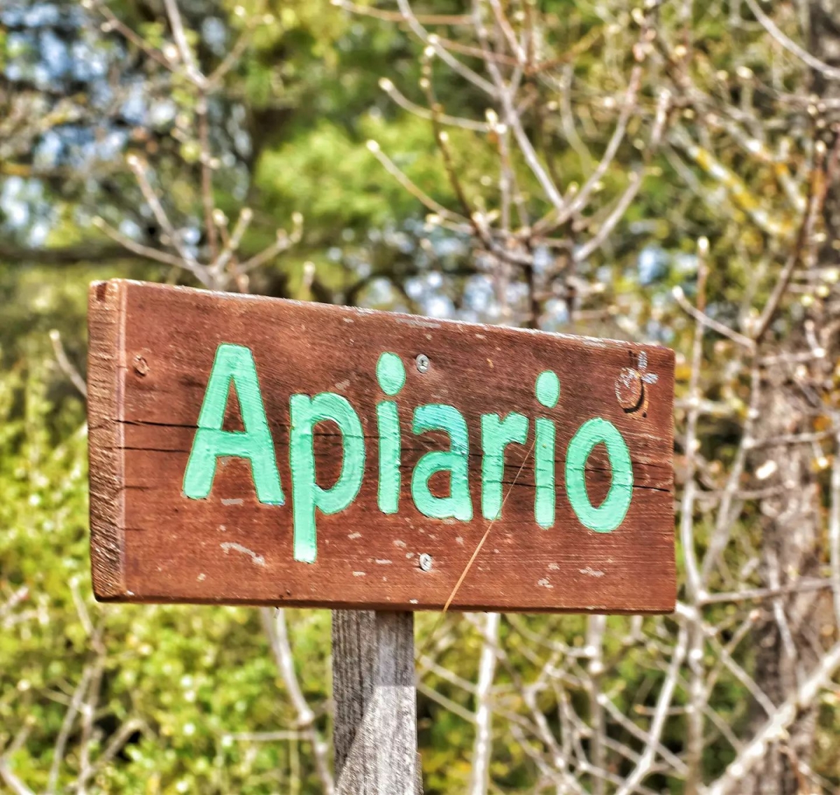 “Apiari aperti”