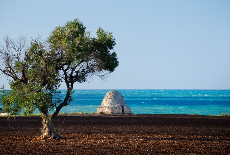 Turismo in Puglia. A Tecnopolis l’assessore regionale Lopane espone gli obiettivi verso il 2030
