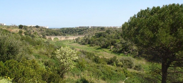 Bari, abbandona rifiuti nel Parco di Lama Balice: beccato dalle fototrappole e denunciato