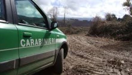 Bari, abbandonano rifiuti edili in periferia: due denunce