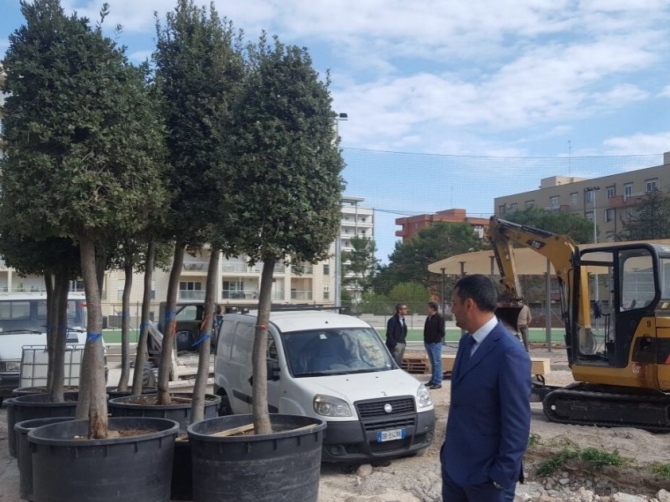 Bari, approvato regolamento del verde urbano: ‘Multe fino a 900 euro per chi non rispetta le regole’