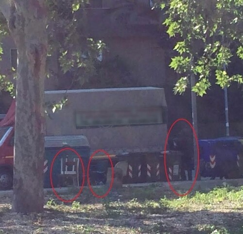 Bari, cittadino segnala abbandono rifiuti ingombranti: ditta multata dalla municipale