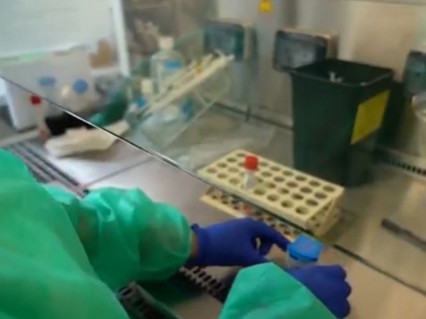 Bari, falsi tamponi positivi in farmacia per ottenere il green pass: procura apre un’inchiesta