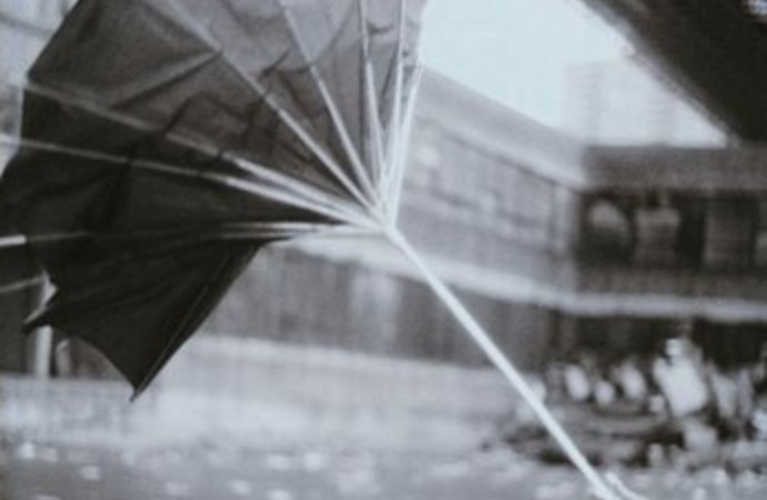 Bari, forte vento causa danni e disagi: alberi sradicati e tettoie crollate