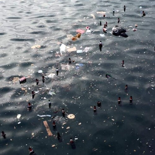 Bari, gli incivili colpiscono anche a San Nicola: decine di bottiglie e rifiuti finiscono in mare