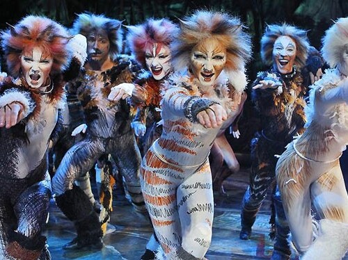 Bari, il musical ‘Cats’ debutta oggi al #TeatroPetruzzelli