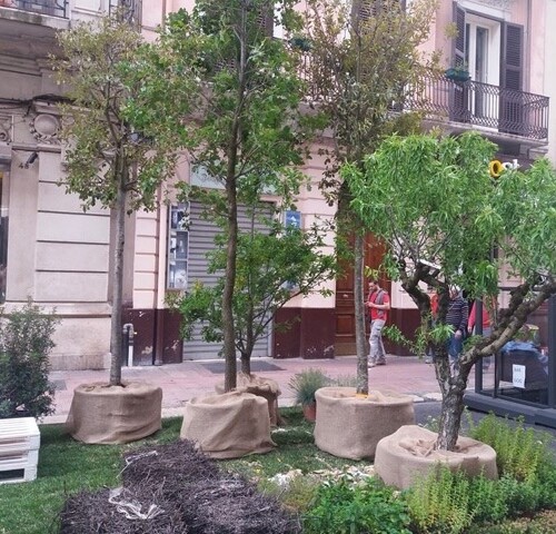 Bari, il Parco Nazionale dell’Alta Murgia partecipa a ‘Primavera mediterranea’