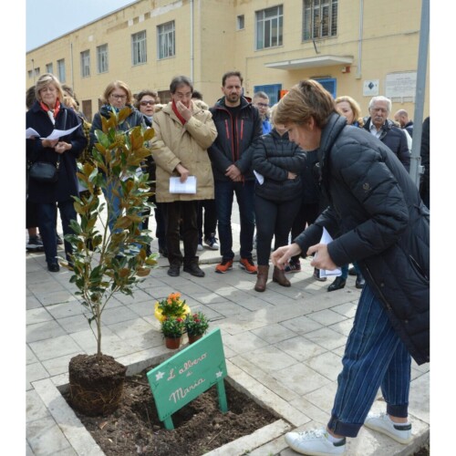 Bari, l’associazione residenti San Cataldo pianta un albero in ricordo di Maria Maugeri