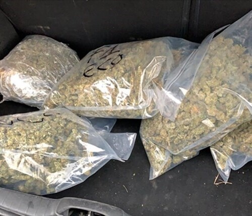 Bari, nascondeva 5,5 chili di marijuana in un’auto a noleggio: arrestato