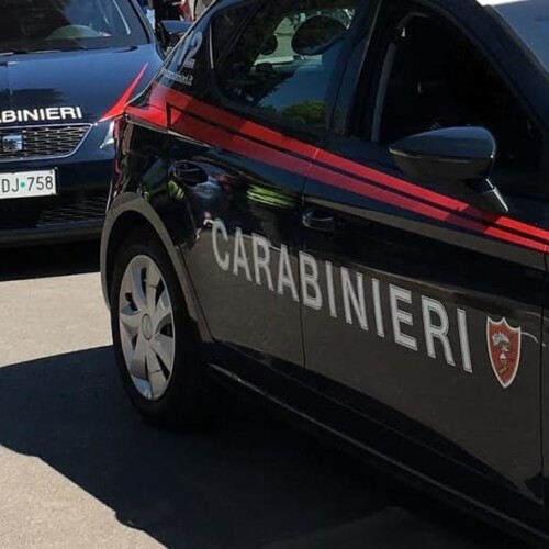 Bari, oltre sei chili droga sequestrati dai carabinieri: erano nascosti in bidoni e sotterrati in campagna