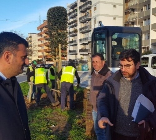 Bari, piantati 115 nuovi alberi nel quartiere Japigia