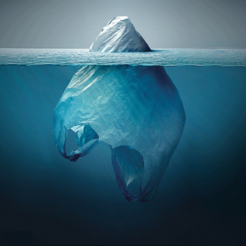 Bari, Planet or Plastic?