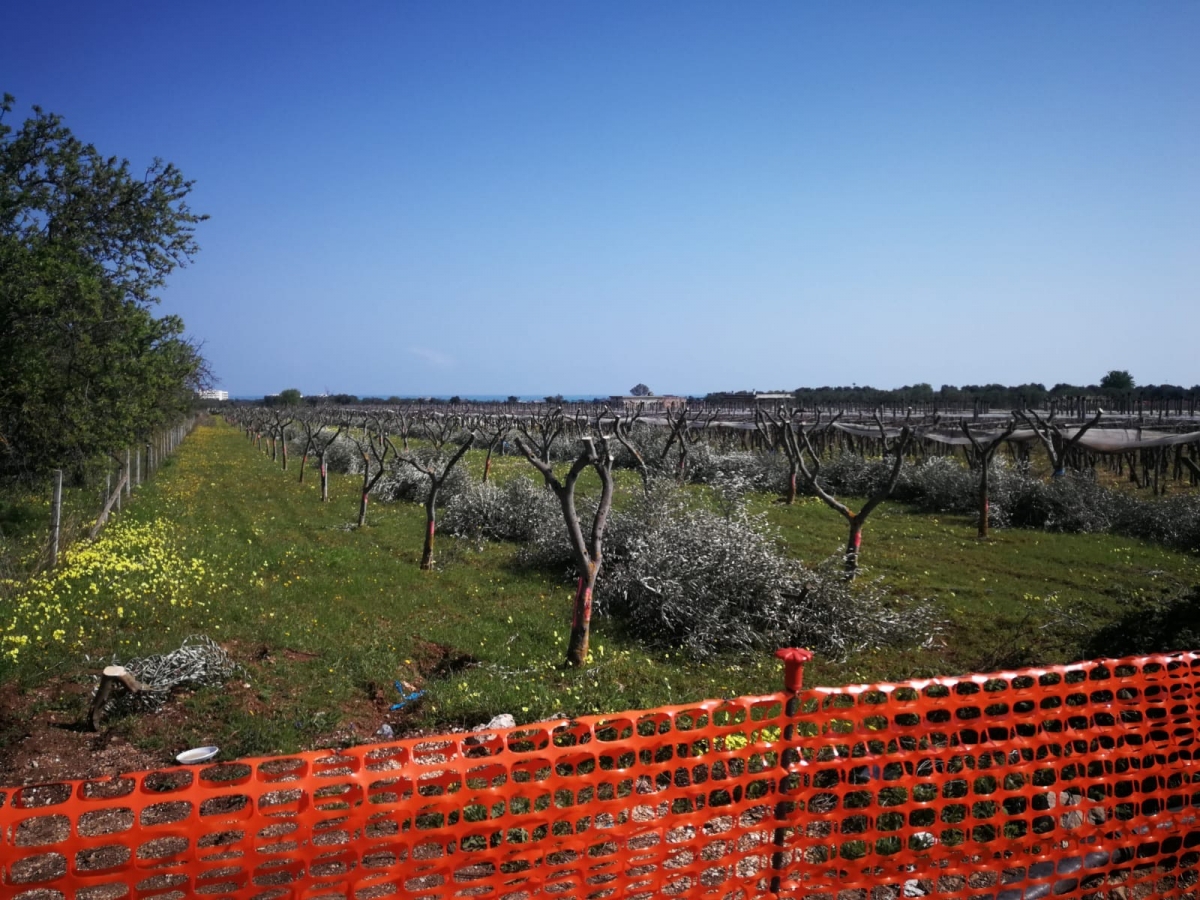 Bari, proseguono i lavori nel quartiere Sant’Anna: partito il cantiere per la raccolta delle acque meteoriche