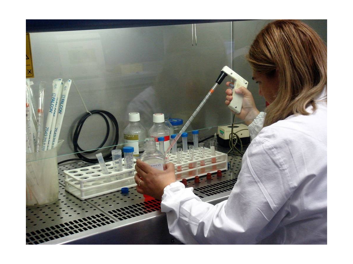 Bari, team di ricercatori scopre un nuovo gene coinvolto nella Leucemia acuta mieloide