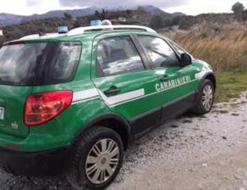 Bari, trasporta rifiuti e scarti edili su un autocarro: denunciato