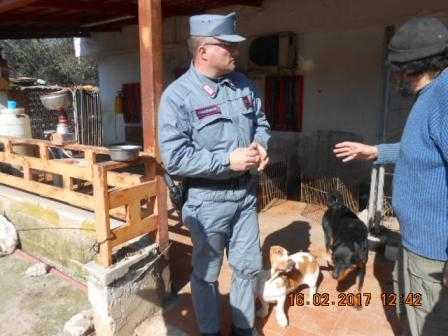 Bitritto, sequestrati trenta cani detenuti illegalmente: una denuncia