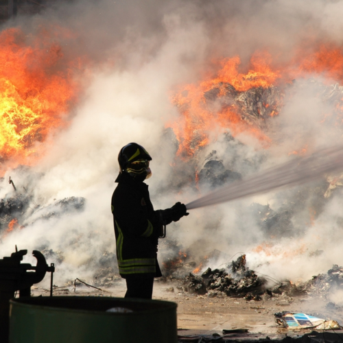 Brindisi: incendio distrugge un’area protetta a pochi metri dalla spiaggia di Carovigno. Paura tra i bagnanti