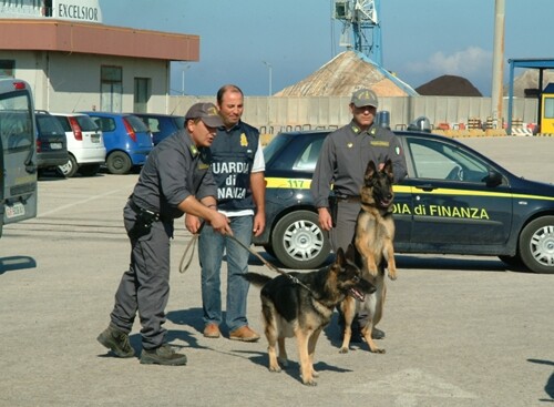 Brindisi, ottomila paia di scarpe contraffatte sequestrate al porto