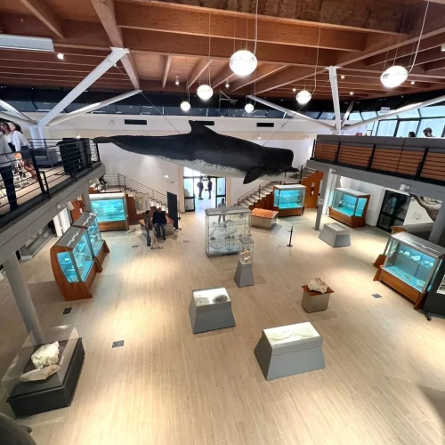 UniSalento Community Library: aperto un nuovo centro di valorizzazione del patrimonio librario, museale e culturale locale