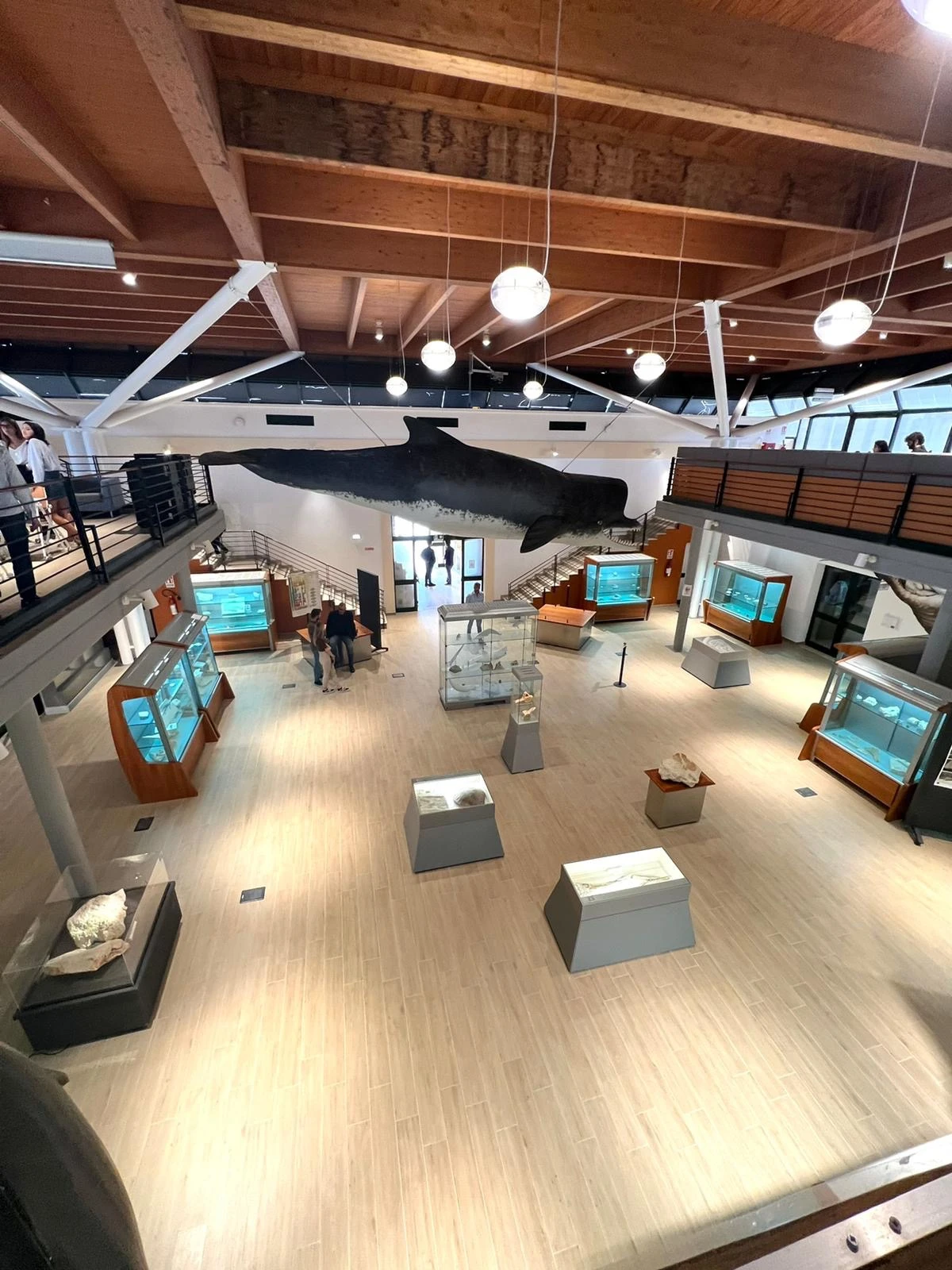 UniSalento Community Library: aperto un nuovo centro di valorizzazione del patrimonio librario, museale e culturale locale