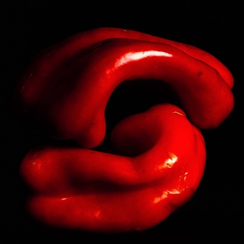 ‘Can art be food?’: la mostra del fotografo salentino Salvo D’Avila all’istituto italiano di cultura di Amburgo