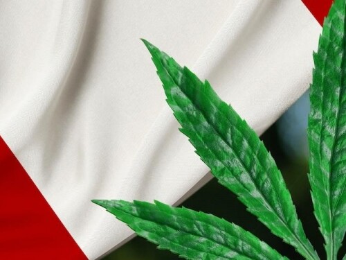 Cannabis legale in Italia