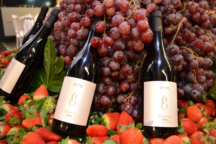 Carvinea presenta ‘Otto’, il vino pttenuto da uve Ottavianello in purezza