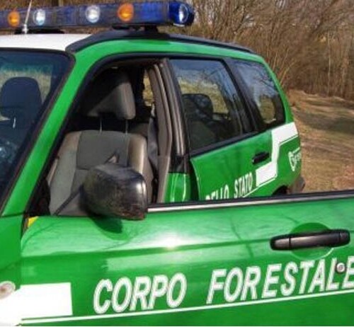 Cassano delle Murge: Corpo Forestale sequestra discarica abusiva, denunciato amministratore unico