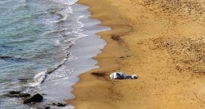 Castro: cadavere ritrovato in mare