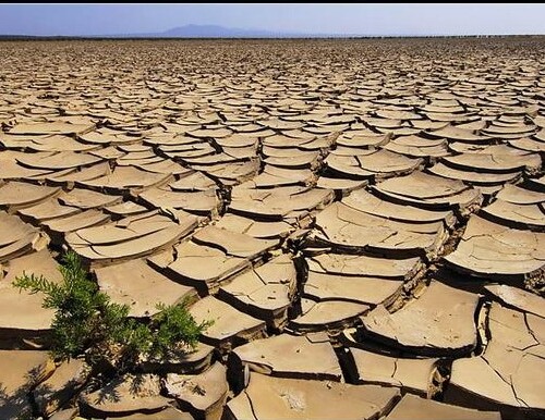 Clima, situazione allarmante nel Sud Italia: ‘Si rischia la desertificazione in meno di un secolo’