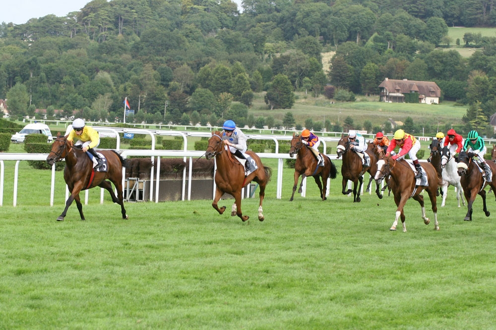 Come scommettere sul Horse Racing Italia