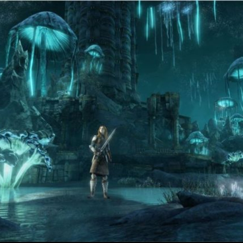 Crolla il gioco fisico, vola l’online: il futuro tra conservazione e innovazione