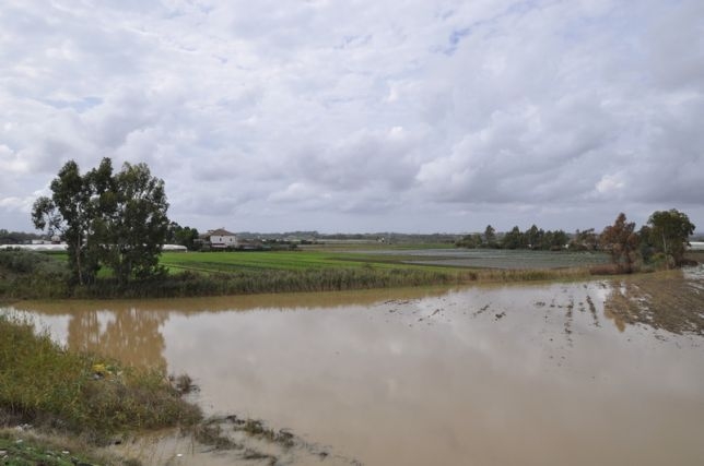Danni da maltempo in Puglia, prorogato lo stato di emergenza per i territori di Foggia e Taranto