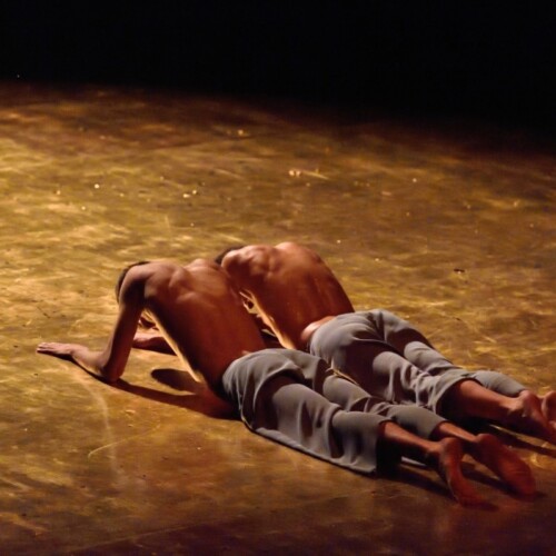 Danza a Bari, la Compagnia di Virgilio Sieni in esclusiva regionale al Nuovo Teatro Abeliano
