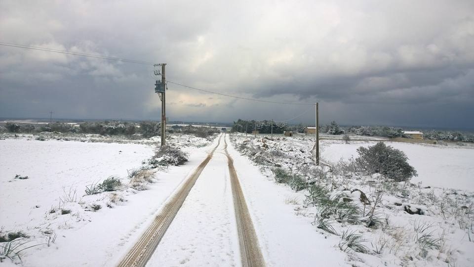Freddo e neve su tutta la Puglia: viabilità stradale rallentata e scuole chiuse