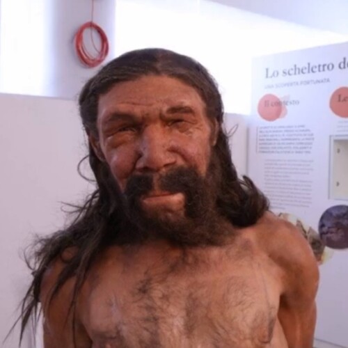 Ecco il volto dell’uomo di Altamura: presentata la ricostruzione iperrealistica