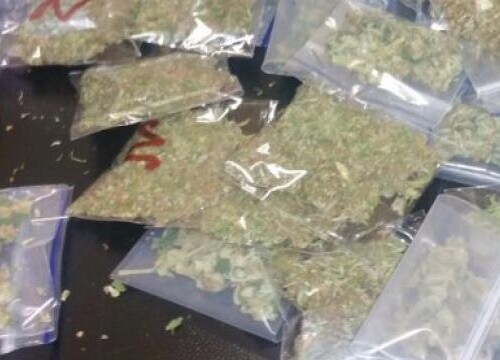 Foggia, nascondeva otto chili di marijuana in un frigorifero: arrestato 36enne
