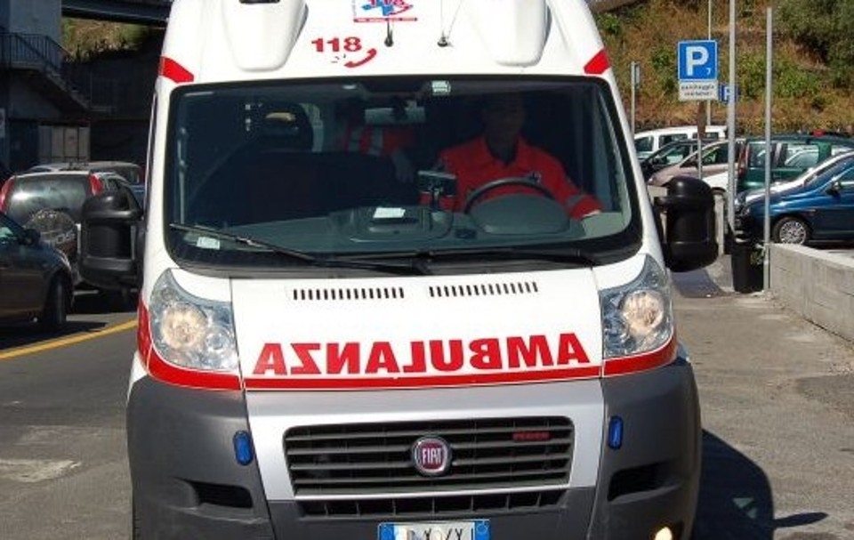 Foggia, tragedia in una azienda agricola: 84enne uccisa da un bue